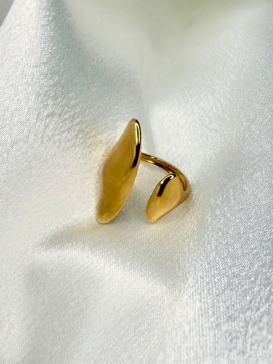 Flow Statement Ring